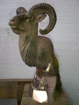 muflón de bronce