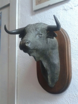 cabeza de toro en bronce