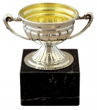 TROFEOS de Bronce con Baño de Plata