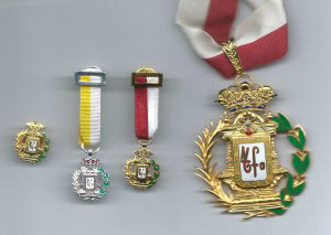 INSIGNIAS