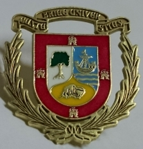 PINS